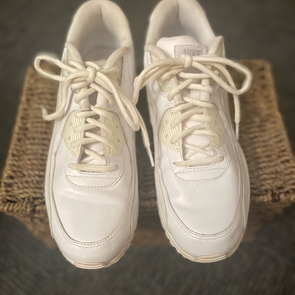 Nike     Mens Air Max 90
